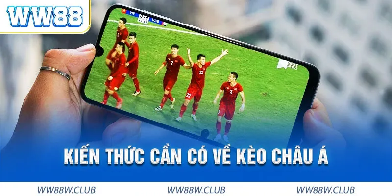 Kiến thức phân loại kèo Châu Á WW88